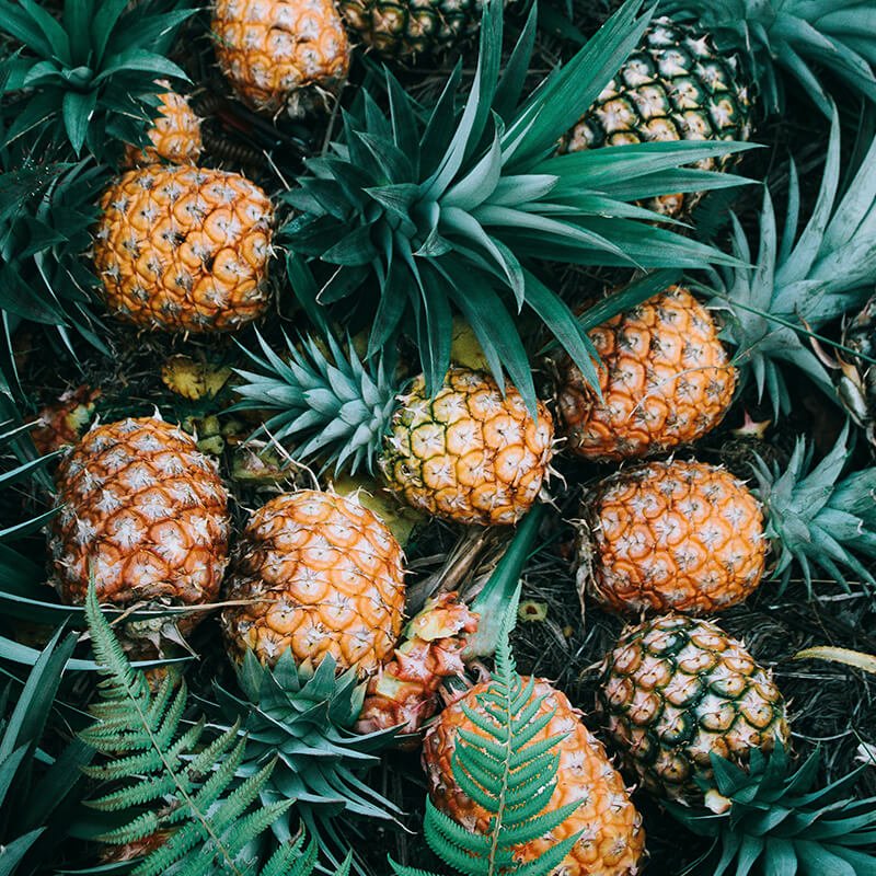 Piña